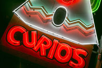 Neon shop sign, Tucumcari, New Mexico, USA by Danita Delimont