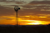 Sunrise, windmill, Cimarron, New Mexico, Hwy 64, von Danita Delimont