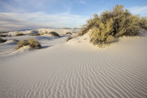 White Sands National Monument, New Mexico by Danita Delimont