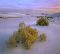 Beautiful sunset over White Sand National Monument, New Mexico, USA by Danita Delimont