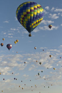 Mass ascension at the Albuquerque Hot Air Balloon Fiesta, New Mexico von Danita Delimont