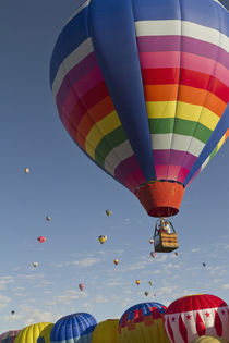 Mass ascension at the Albuquerque Hot Air Balloon Fiesta, New Mexico von Danita Delimont
