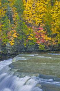 USA, New York, Letchworth State Park by Danita Delimont