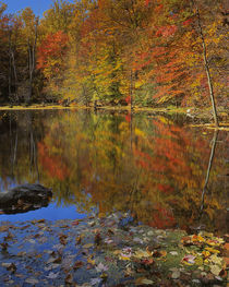 USA, New York, Adirondack Mountains, Autumn Pond, Putnam County von Danita Delimont