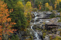 Autumn at Silver Cascade, Crawford Notch State Park, New Ham... by Danita Delimont