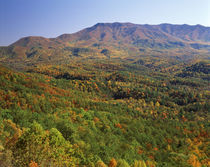 USA, North Carolina, Great Smoky Mountains National Park, Vi... von Danita Delimont