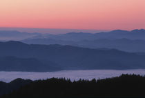 Sunrise at Clingmans Dome, Great Smoky Mountain National Par... by Danita Delimont