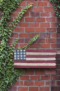 North Carolina, Linville, wooden US flag by Danita Delimont
