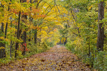 Independence St Park Autumn by Danita Delimont