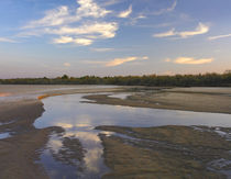 Cimarron River cuts through the sandy landscape, Oklahoma by Danita Delimont