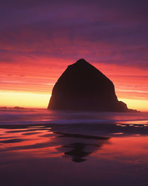 USA, Oregon, Cannon Beach, Haystack rock silhouetted on Cann... von Danita Delimont