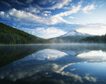 USA, Oregon, Mount Hood National Forest, Mount Hood Wilderne... by Danita Delimont