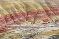 USA, Oregon, John Day Fossil beds National Monument von Danita Delimont