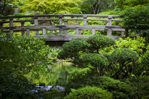 Bridge over pond in the Japanese Garden, Portland, Oregon, USA. by Danita Delimont