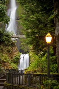 Walkway leading to Multnomah Falls along the Columbia River ... von Danita Delimont