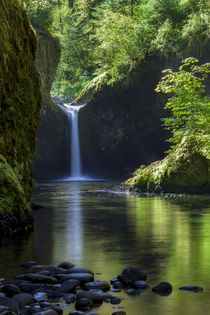 Punchbowl Falls along Eagle Creek Trail, Columbia River Gorg... von Danita Delimont