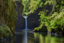 Punchbowl Falls along Eagle Creek Trail, Columbia River Gorg... von Danita Delimont