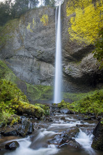 Latourell Falls in Guy W Talbot State Park in the Columbia R... von Danita Delimont