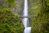 Multnomah Falls in the Columbia River Gorge near Portland, O... by Danita Delimont