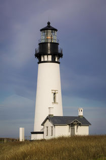 Yaquina Head Lighthouse, Newport, Oregon, USA by Danita Delimont