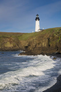 Yaquina Head Lighthouse, Newport, Oregon, USA by Danita Delimont