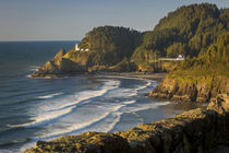 Heceta Head Lighthouse along the Oregon Coast, USA by Danita Delimont