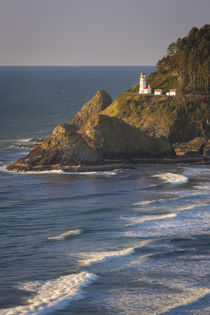 Heceta Head Lighthouse along the Oregon Coast, USA von Danita Delimont
