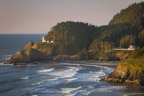 Heceta Head Lighthouse along the Oregon Coast, USA von Danita Delimont
