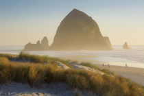 Evening sunlight over Haystack Rock and the Cannon Beach, Oregon, USA by Danita Delimont