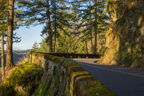 Tight curve along the Columbia River Scenic Highway, Cascade... by Danita Delimont