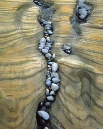 USA, Oregon, Seal Rock Beach von Danita Delimont