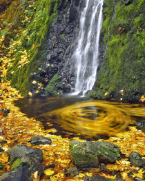 USA, Oregon, Columbia River Gorge National Scenic Area by Danita Delimont