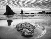 USA, Oregon, Bandon Beach by Danita Delimont