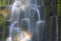USA, Oregon, Proxy Falls von Danita Delimont
