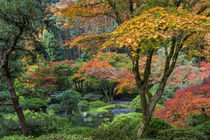 Japanese Gardens von Danita Delimont