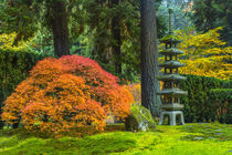 Japanese Gardens by Danita Delimont