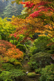 Japanese Gardens by Danita Delimont