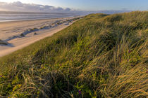 Sand dunes and Pacific Ocean in the Oregon Dunes National Re... by Danita Delimont