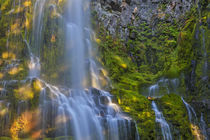 Proxy Falls in the Three Sisters Wilderness, Oregon, USA by Danita Delimont
