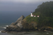 Heceta Head Light is a lighthouse located on the Oregon Coas... by Danita Delimont