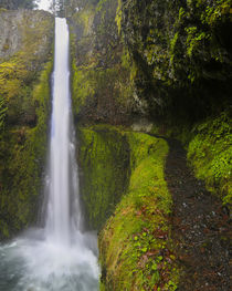 USA, Oregon by Danita Delimont