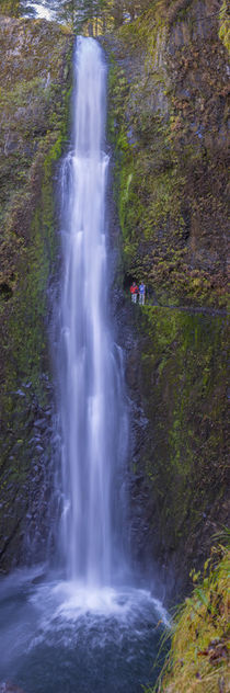 Oregon. Vertical panorama view of Tunnel Falls, 6 miles up f... by Danita Delimont