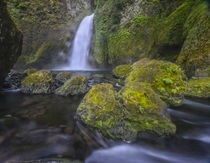 Wahclella Falls, Columbia River Gorge by Danita Delimont
