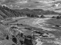 USA, Oregon, Coast Canon Beach by Danita Delimont