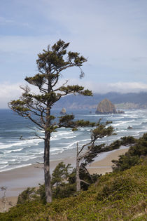 OR, Oregon Coast, view of Haystack Rock and Cannon Beach, fr... by Danita Delimont