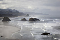 OR, Oregon Coast, Ecola State Park, Crescent Beach, Cannon B... by Danita Delimont