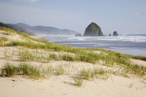 OR, Oregon Coast, Cannon Beach and Haystack Rock von Danita Delimont