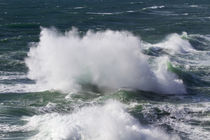 OR, Cape Kiwanda, Wind driven ocean waves by Danita Delimont