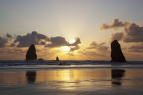 OR, Cannon Beach, seastacks at sunset by Danita Delimont