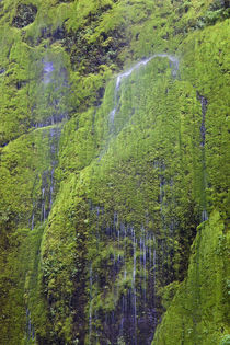 OR, Columbia River Gorge National Scenic Area, Water softly ... von Danita Delimont